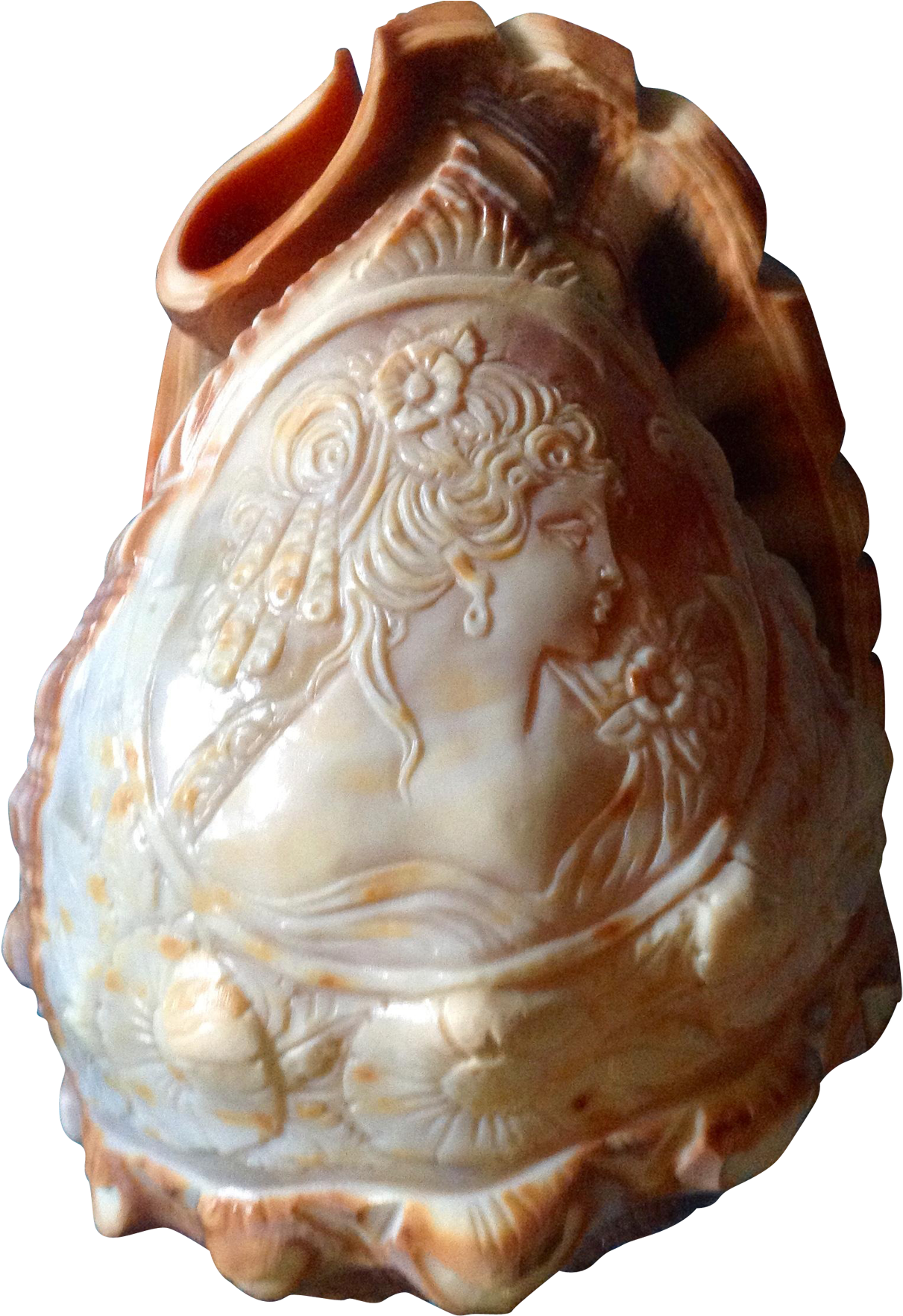 Conch Shell Cameo Vintage Victorian Woman Carved Cameo - Retro Conch Shell Lamp (2048x2048), Png Download
