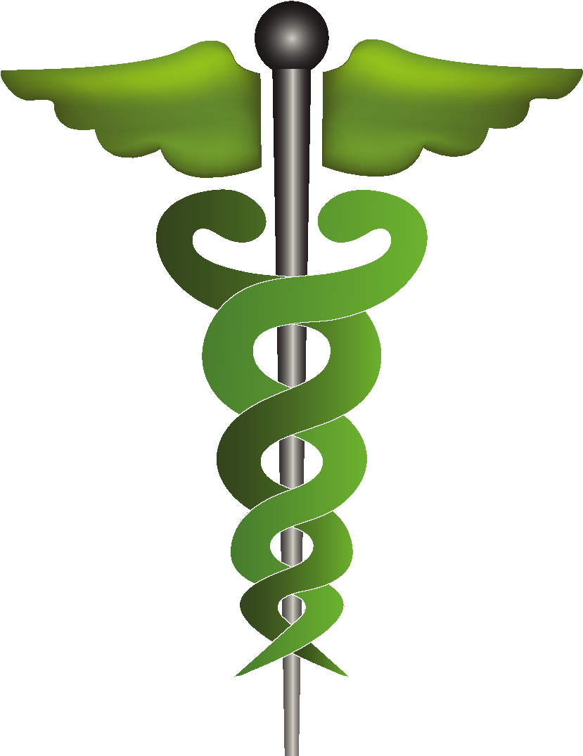 Cartoon Green Wings Icon Element - Medical Symbol (1772x1378), Png Download
