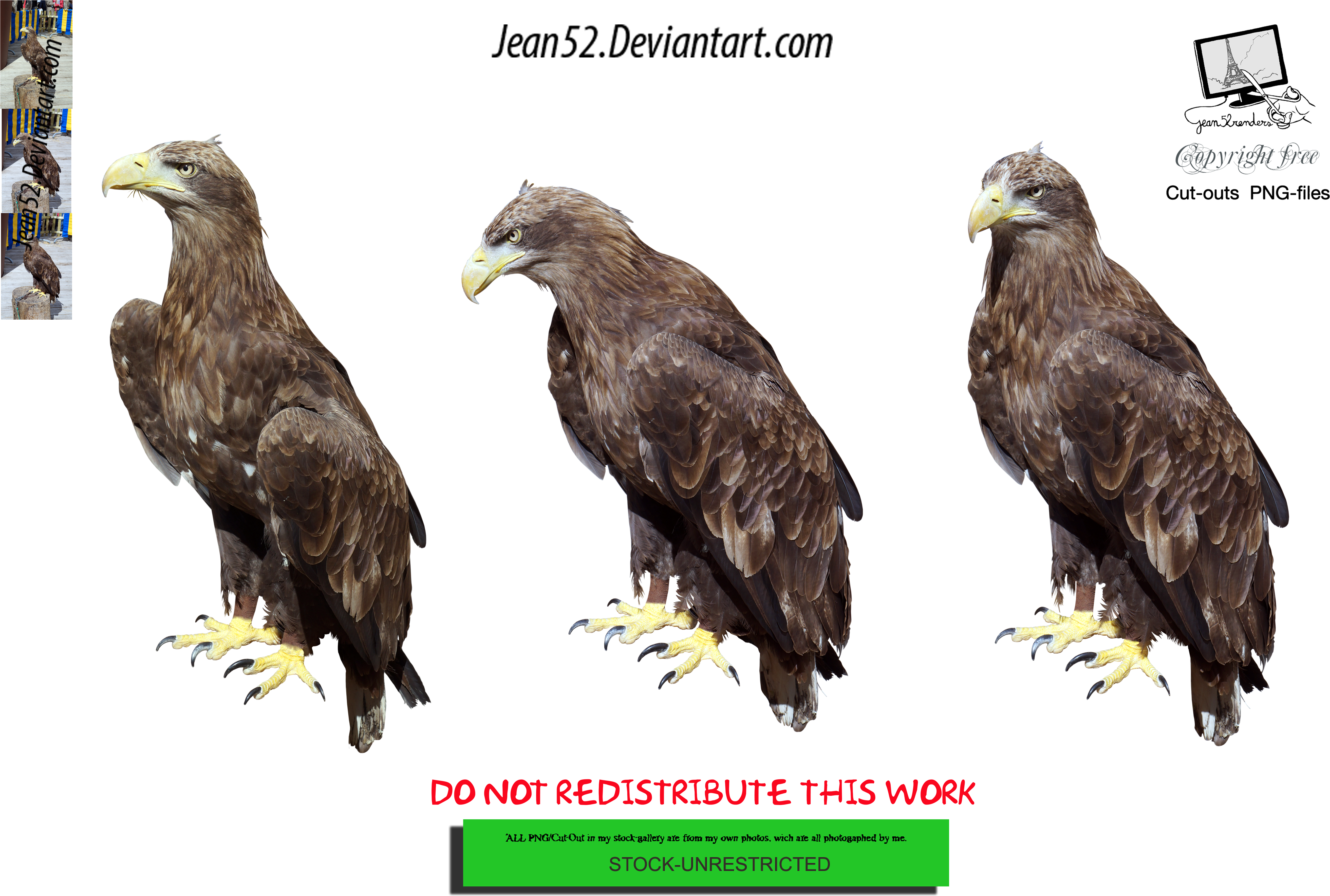 Eagle Png (5456x3632), Png Download