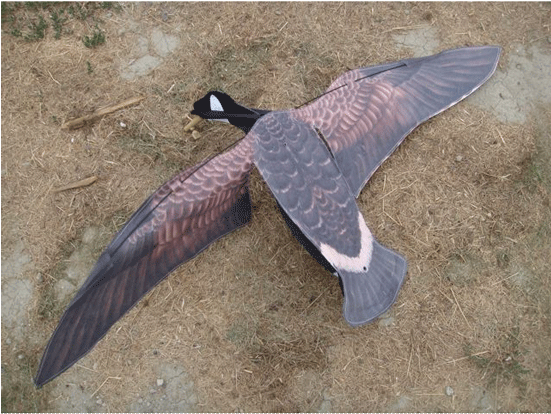 Sillosocks Canada Goose Flapper - Sillosocks Flapping Goose Decoys - Sillosocks - Motion (550x550), Png Download
