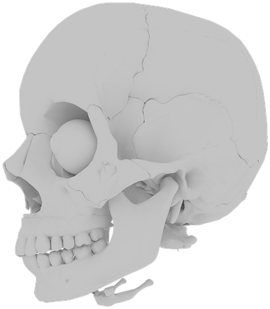 Skull, Orbit, Skeleton, Bone, Teeth, Medical, Human - Skull (960x540), Png Download