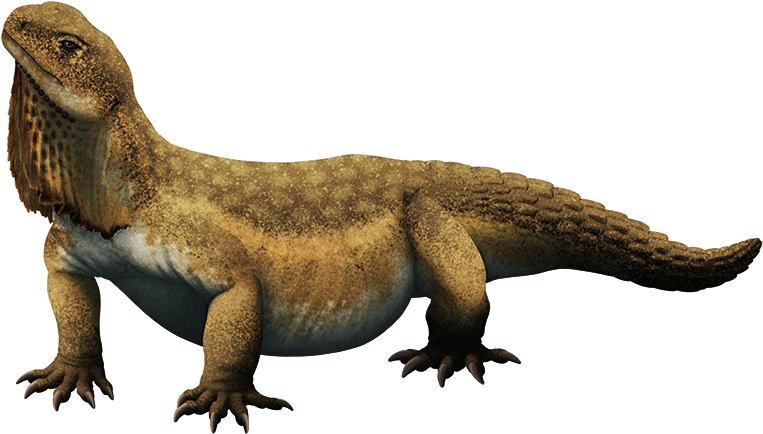 Tumblr Pbya1yk18u1s5f2yxo1 1280 - Wiki (800x468), Png Download