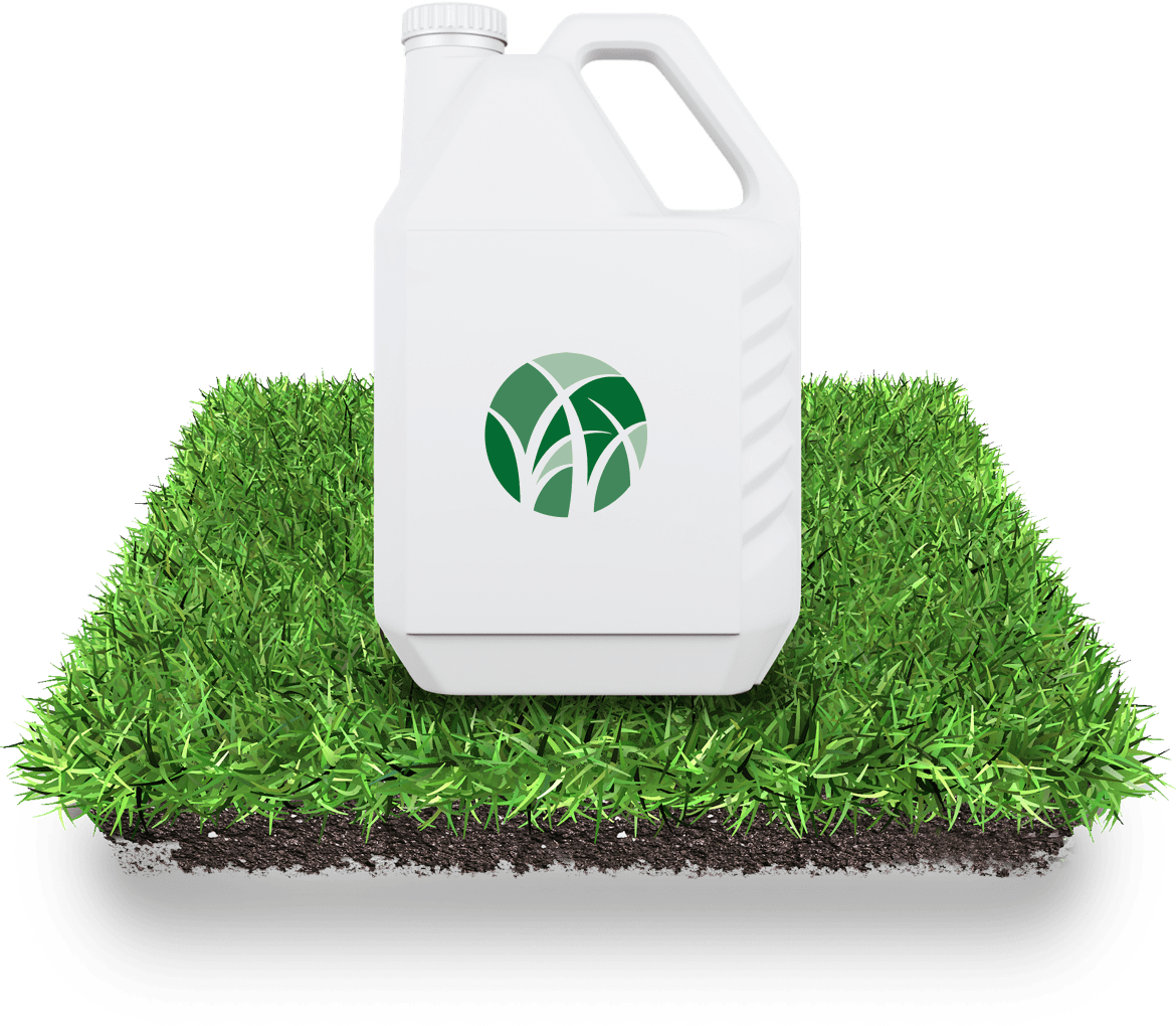 The Rightlinerightline Of Products To Deliver Perfect - Portable Network Graphics (1170x1020), Png Download