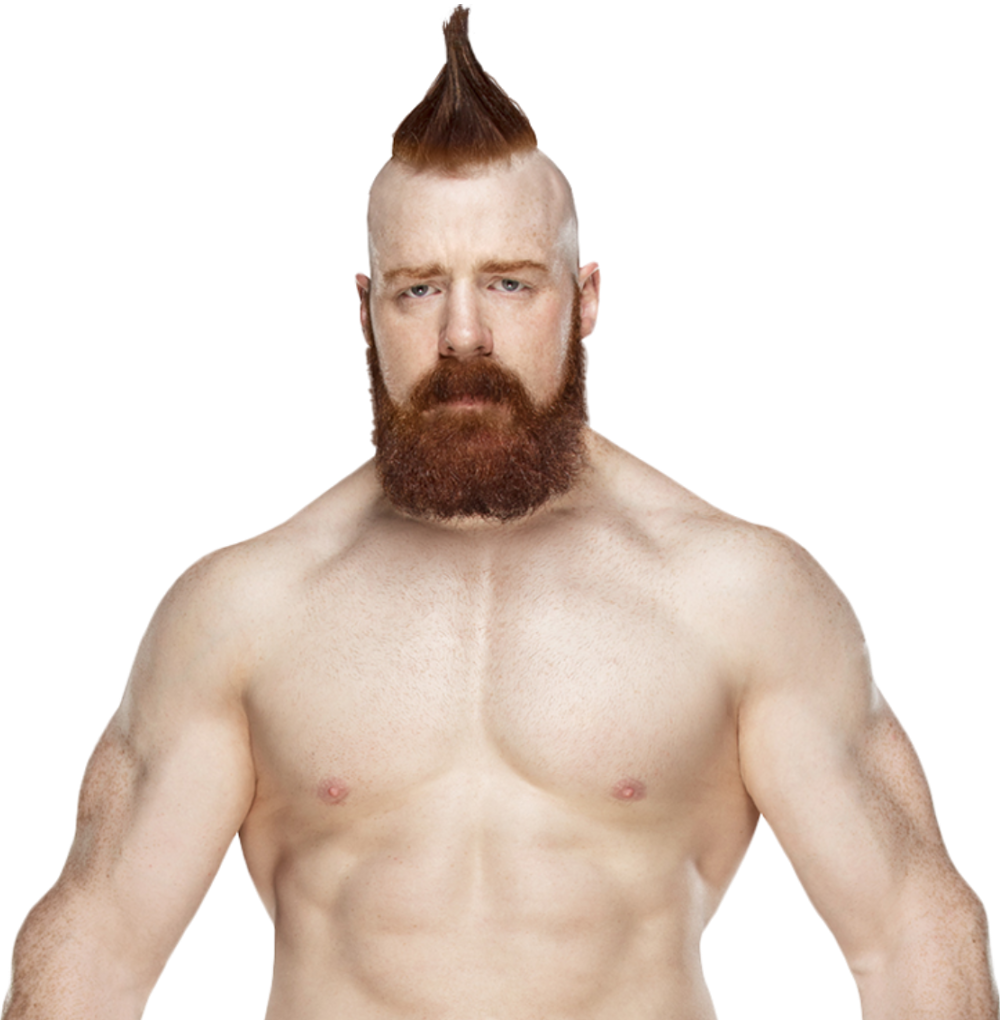 Sheamus 2018 - Sheamus Wwe Champion Png (1000x1020), Png Download