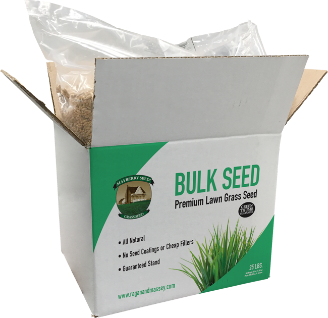 Mayberry™ Turf Seed - Lawn (650x630), Png Download