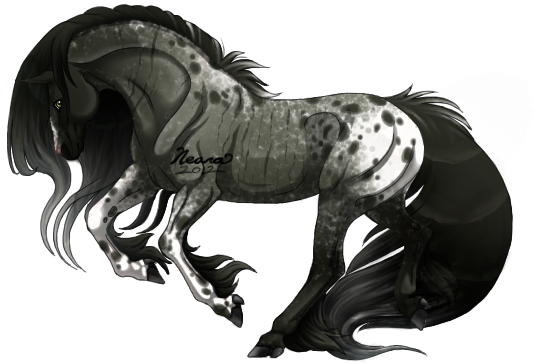 Roan (600x400), Png Download