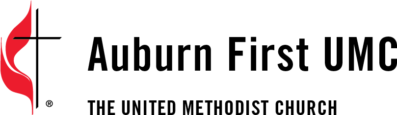 Palm Sunday - Auburn First United Methodist Church (816x245), Png Download