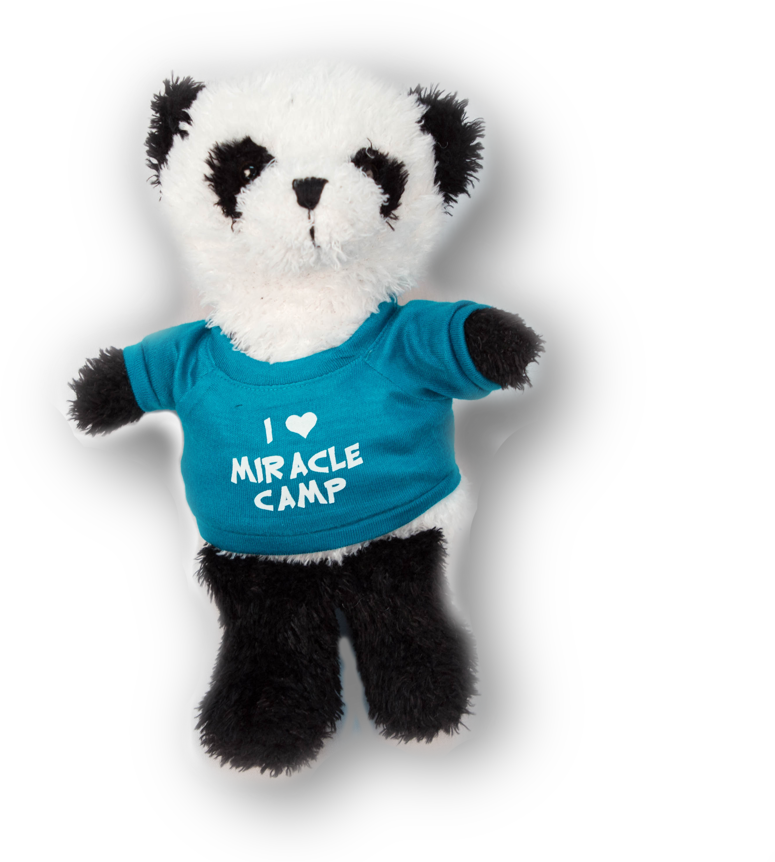 Teddy Bear (3079x3079), Png Download