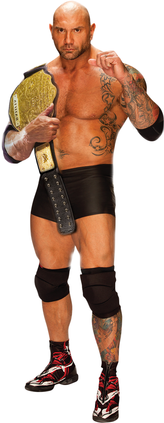 World Heavyweight Champion Batista - Batista Wwe World Heavyweight Championship (576x1388), Png Download