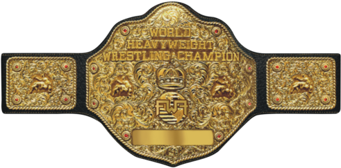 Fwf World Heavyweight Title - Wcw World Heavyweight Championship (640x360), Png Download