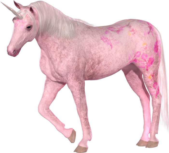 Let Us Say That Everybody In The World Believed That - Pink Unicorn (1067x642), Png Download