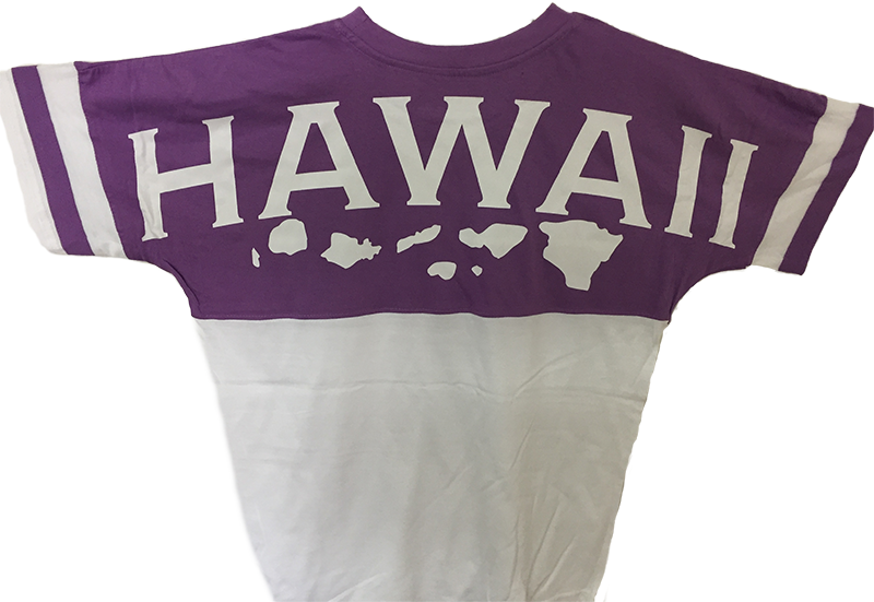 Champion Men's Classic Jersey Tee (800x551), Png Download