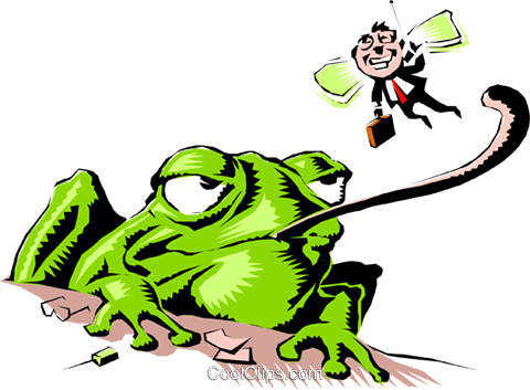Cartoon Frog Royalty Free Vector Clip Art Illustration - Reptiles And Amphibians (480x353), Png Download