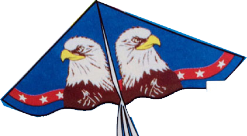 Usa Eagle Kites - Drawing (800x800), Png Download