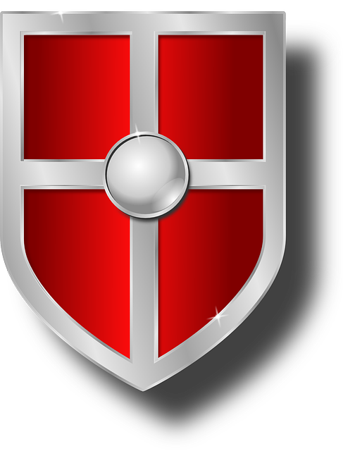 Armor, Color, Medieval, Metal, Metallic, Red, Shield - Weapon Shield (487x640), Png Download