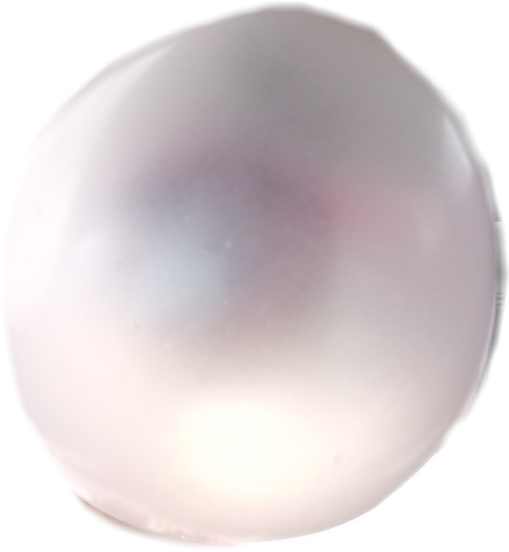 Fruit (1024x1111), Png Download