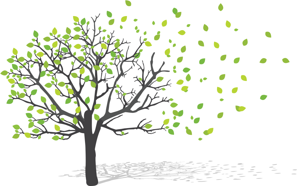 Our Services - Green Earth Png (1140x640), Png Download