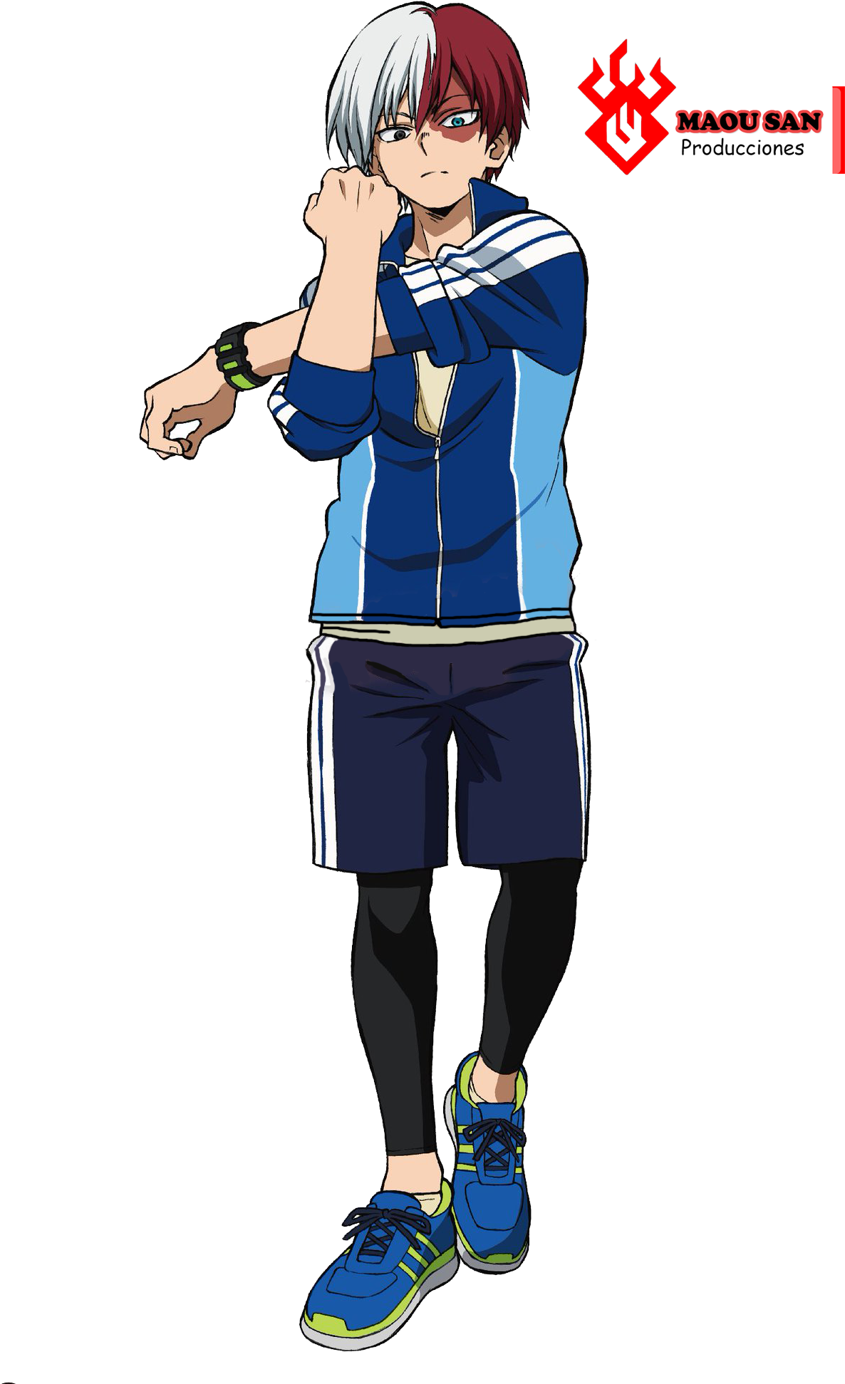 Todoroki Figure (1272x2048), Png Download
