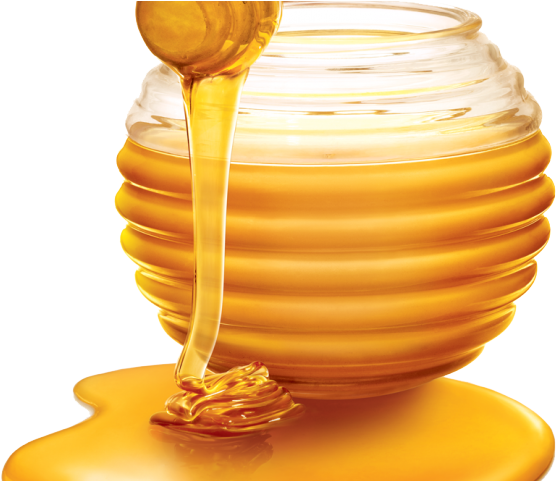 Free On Dumielauxepices Net - Honey Png (640x480), Png Download