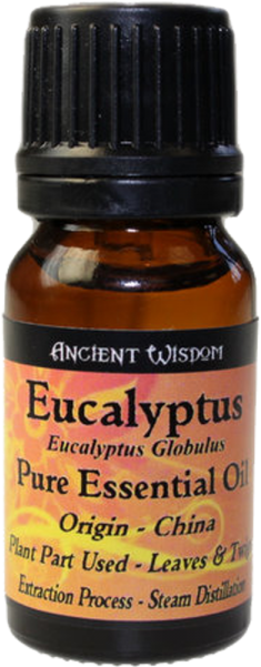 Eucalyptus Essential Oil - Ancient Wisdom Spikenard Essential Oil (600x810), Png Download