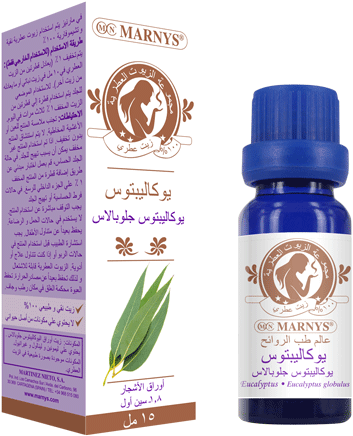 Eucalyptus Essential Oil - Marny's Tea Tree Oil 50ml. (500x500), Png Download