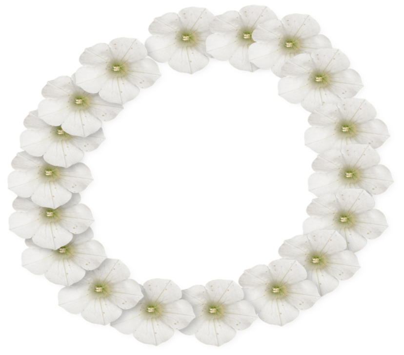 White Flower Frame Png Photo - Flower (1024x768), Png Download