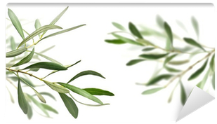 Olive Oil (400x400), Png Download