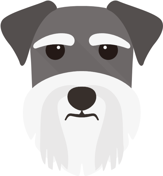 The Miniature Schnauzer - Miniature Schnauzer (600x600), Png Download