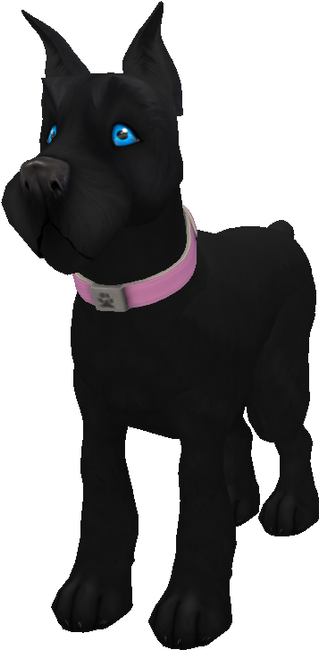 Black Miniature Schnauzer - Dog (553x784), Png Download