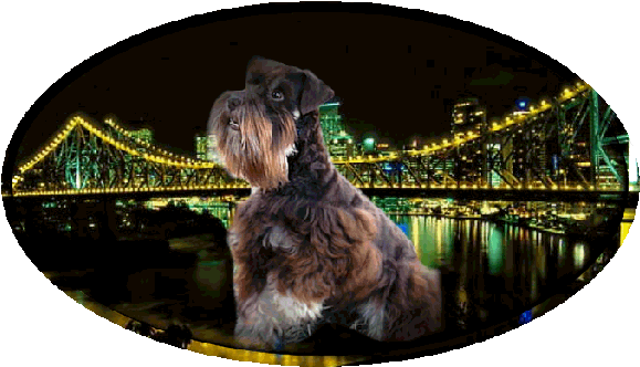 Story Bridge (600x349), Png Download