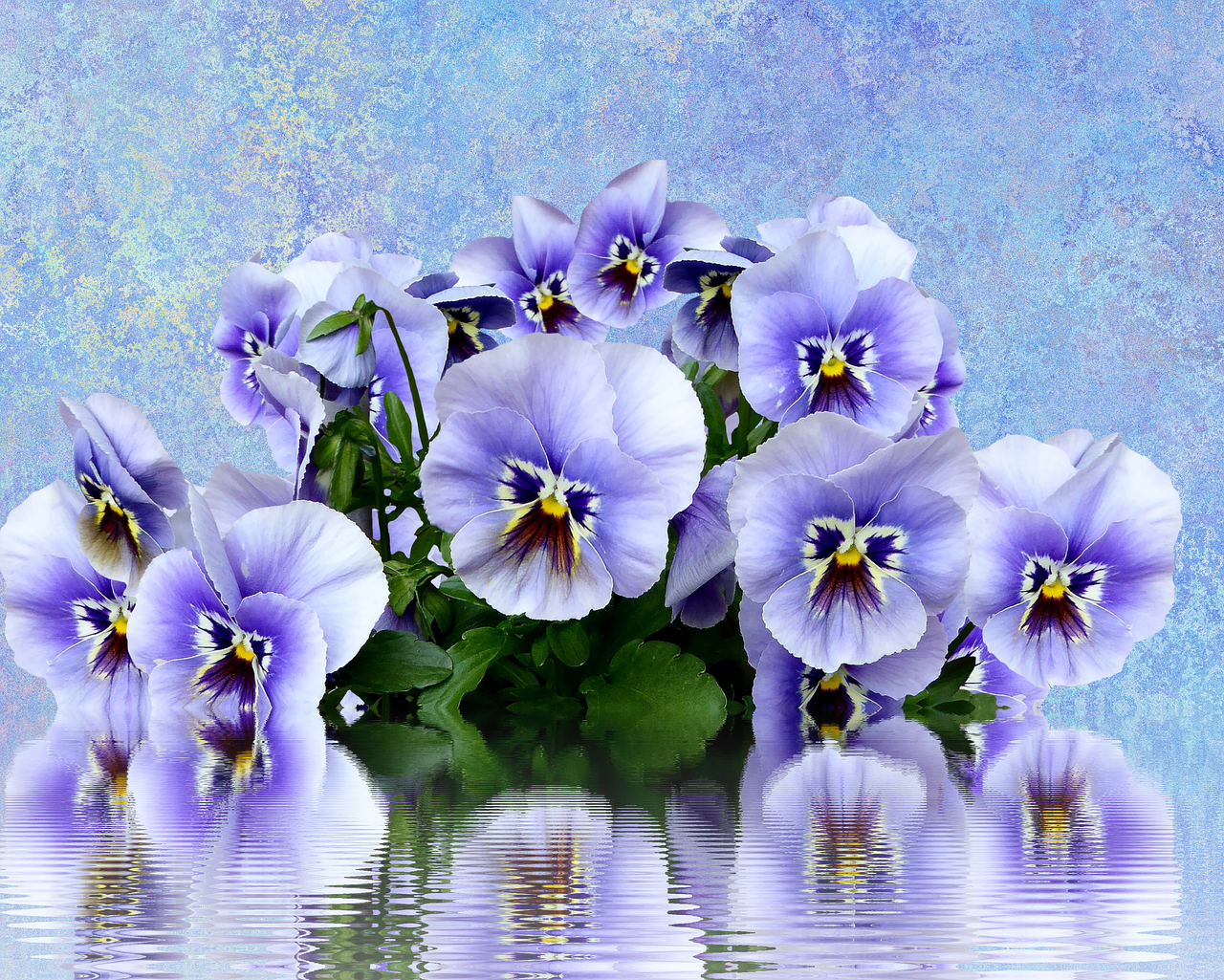 Pansy Spring Nature - You Say Pansy Like It's A Bad Thing- Pansies Garden (1280x1025), Png Download
