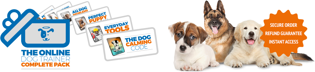 Is Your Dog - Train Your Dog To Obey You Every Time Using This Adjustable (1119x250), Png Download