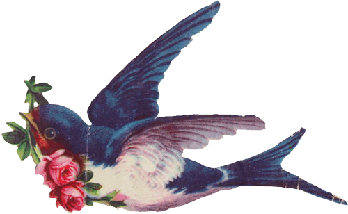 Vintage Swallows (500x500), Png Download