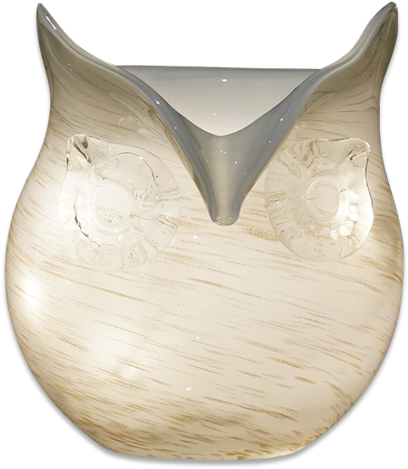 White Owl (1000x1000), Png Download