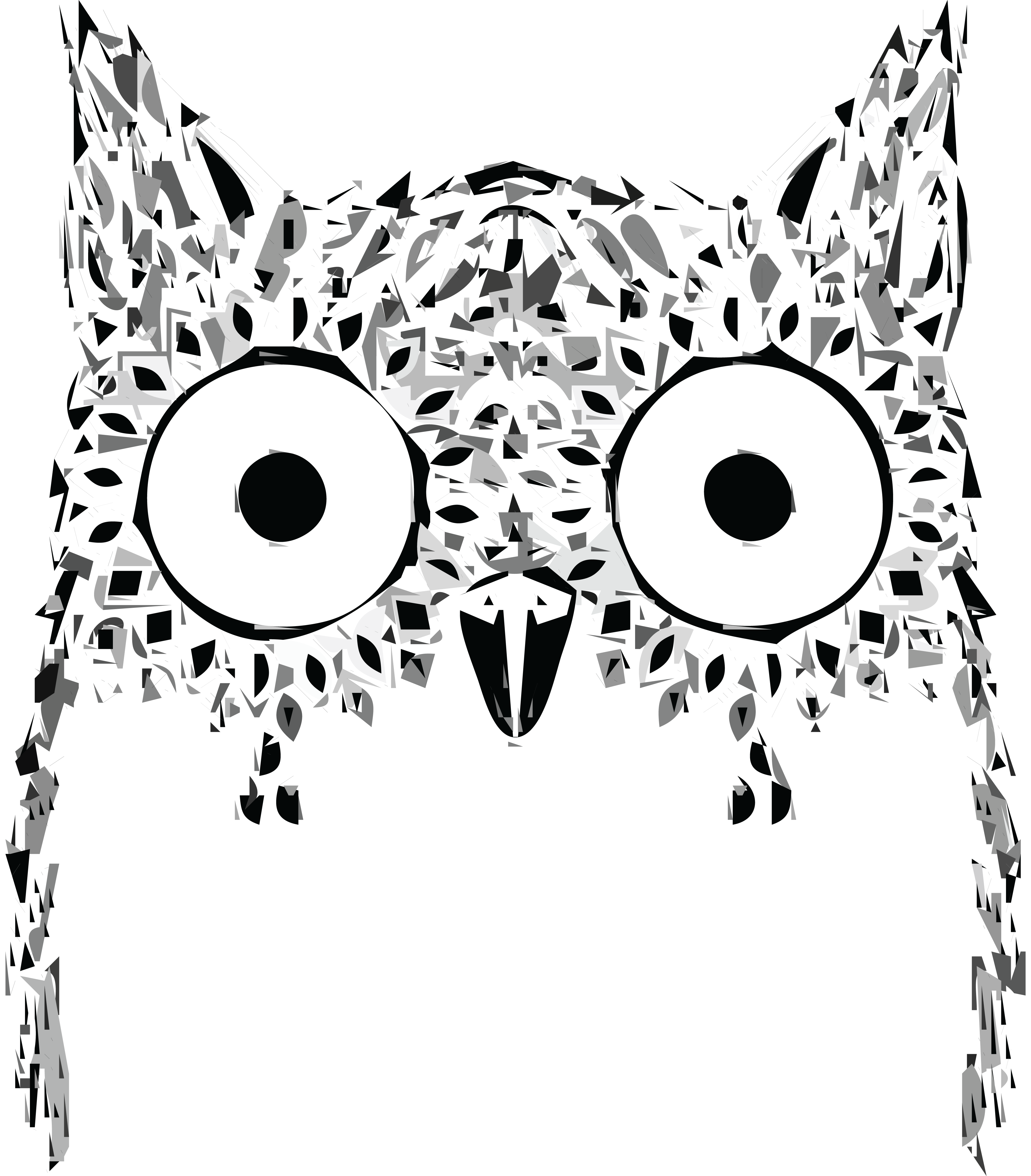 Owl Face Drawing At Getdrawings - Note Cards (pk Of 20) (4000x4564), Png Download