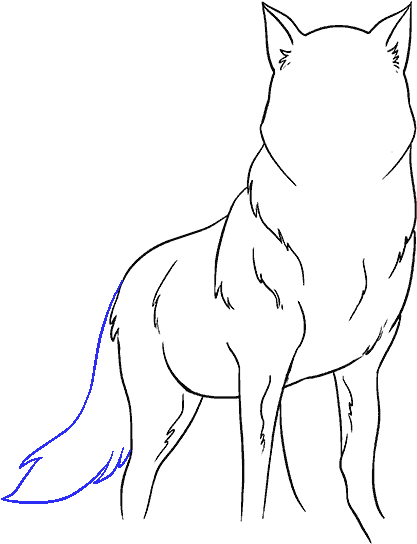 How To Draw Wolf - Drawing (678x600), Png Download