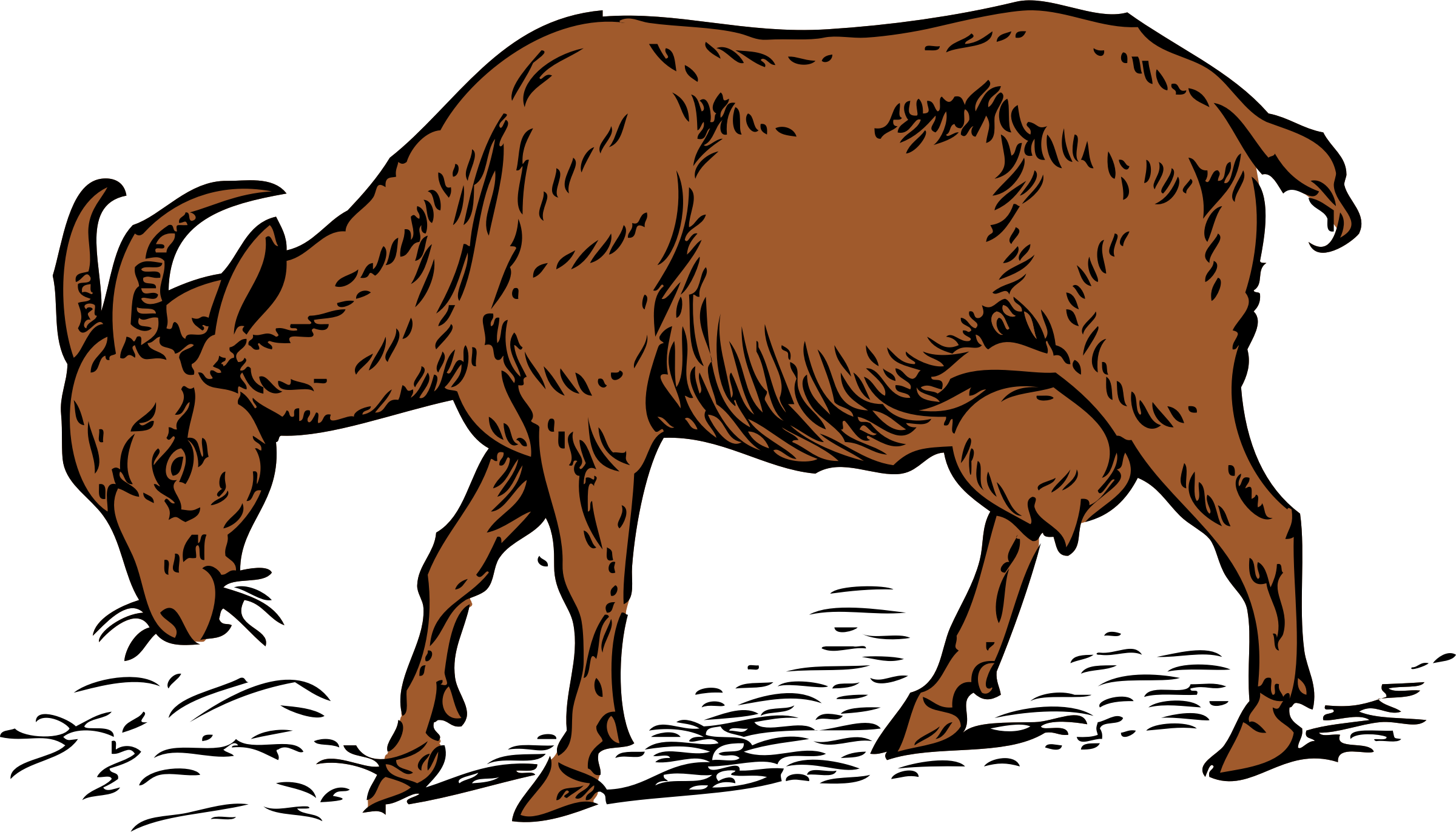 All Photo Png Clipart - Goat Clip Art (1312x750), Png Download