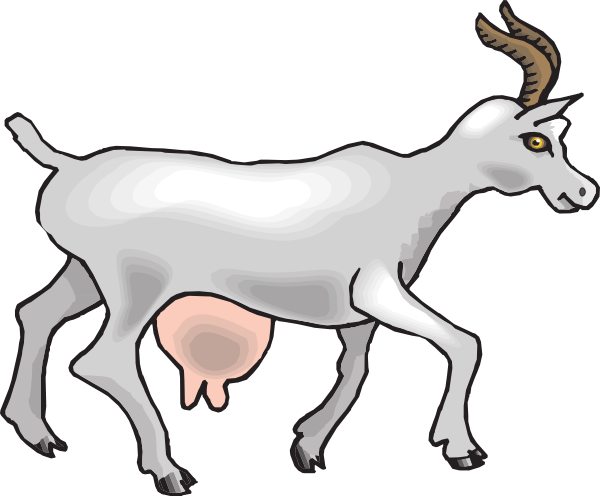 Side View Goat Clip Art At Clker - Transparent Clipart Milk Goat (600x496), Png Download