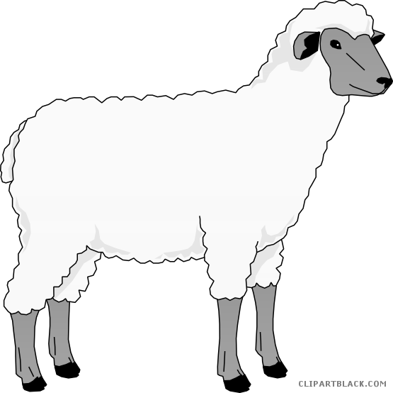 Sheep Clip Art Clipart Goat Merino Clip Art - Sheep Clip Art (555x554), Png Download