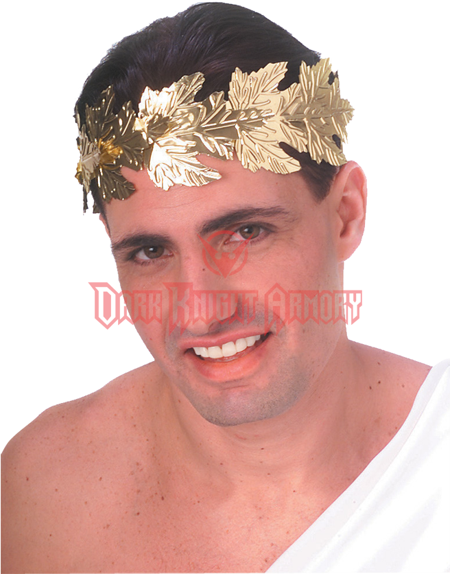 Golden Laurel Roman Wreath - Roman Wreath-gold Foil (fancy Dress) (850x850), Png Download