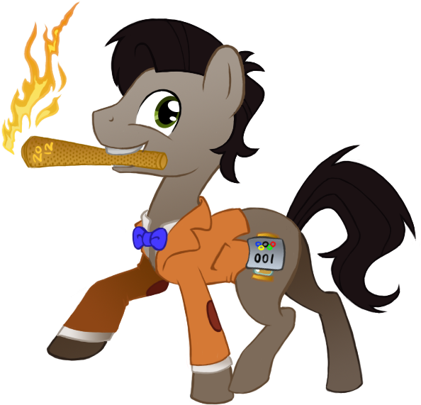 Doctor Who, Doctor Whooves, Earth Pony, Eleventh Doctor, - Torch (675x589), Png Download