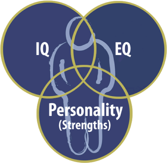 Strengths And Emotional Intelligence - Mystery Of Personality - Gebundene Ausgabe (567x561), Png Download