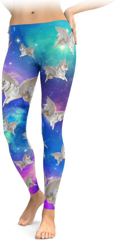 Interstellar Flying Unicorn Husky Leggings - Native Pride - It's All Indian Land (740x895), Png Download