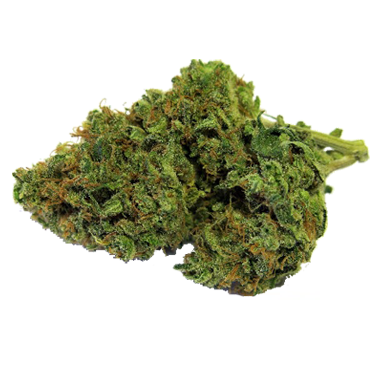 Cannabis Cup Winner Girl Scout Cookies - Moss (375x375), Png Download