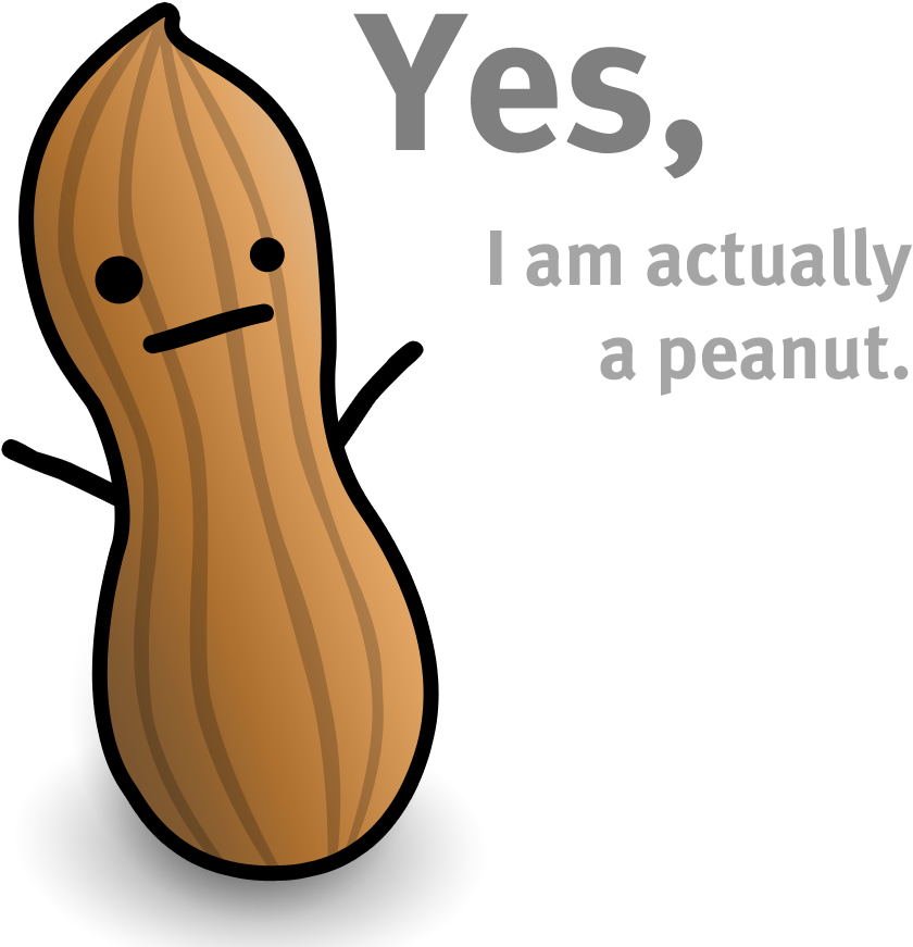 Kin9 P34nut - Peanut Kawaii (900x900), Png Download
