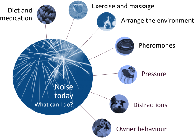 What To Do Now Fear Fireworks 1 - Diagram (768x447), Png Download