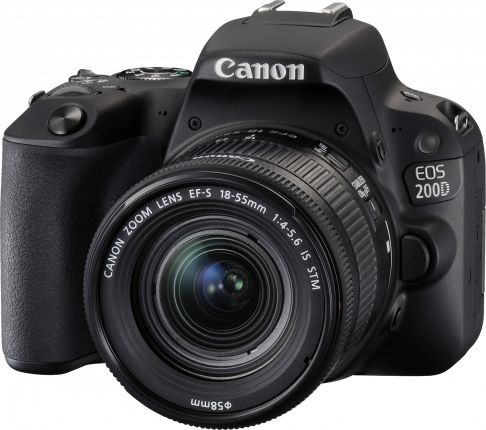 Canon New Zealand - Canon 200d (486x430), Png Download