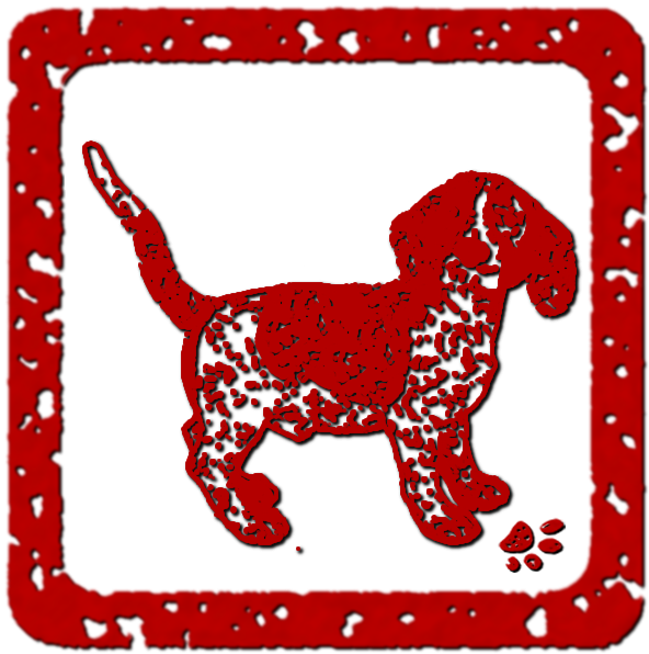 Dog - Common Sores On Dachshund Paws (600x600), Png Download