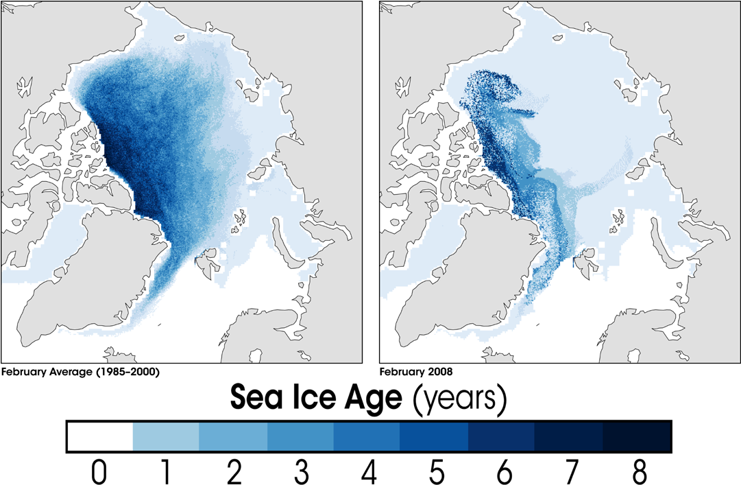 Arctic Sea Ice Age2008 - Average Arctic Sea Ice Age (1080x723), Png Download