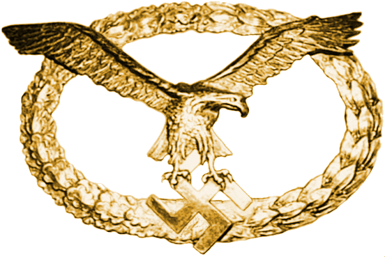 Air Crew Badge, Gold (552x369), Png Download